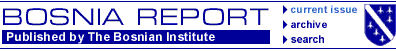 bosnia report